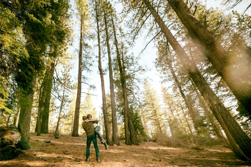 Alta Sierra CA Forest