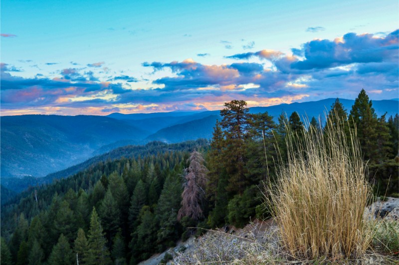 Alta Sierra, CA